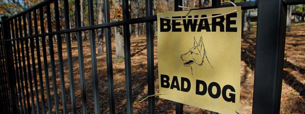 The Truth Behind Dog Breeds Considered the Most Dangerous